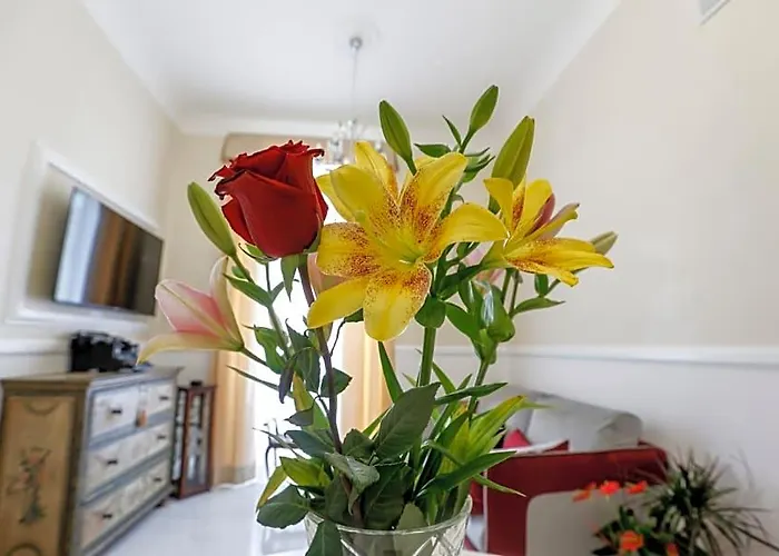 Casa Lili Roma, Bed & Breakfast